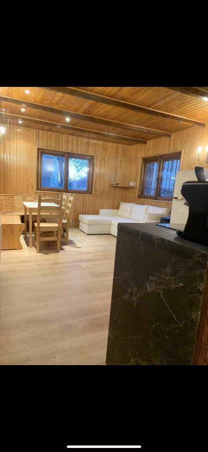 Nouveau - Plein Centre Valberg - App 6 Couchages Peone Exterior photo